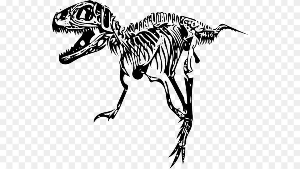 Skeleton Svg T Rex T Rex Skeleton, Person, Animal, Dinosaur, Reptile Free Png