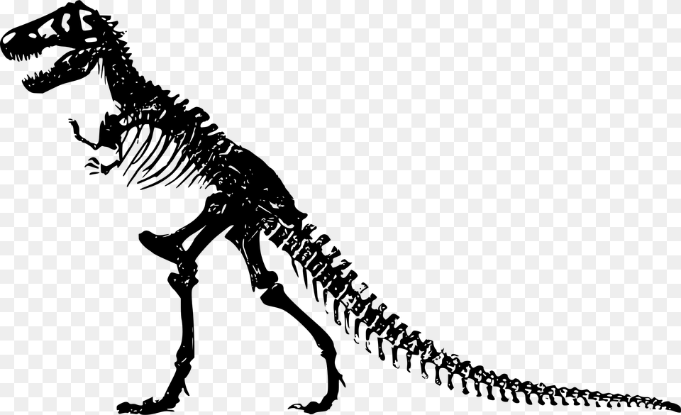 Skeleton T Rex Skeleton Clip Art, Gray Png Image