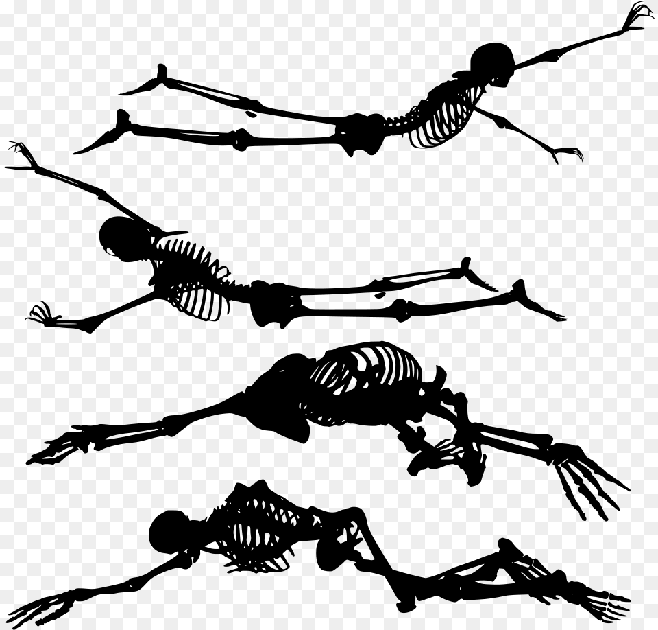 Skeleton Transparent, Gray Png Image