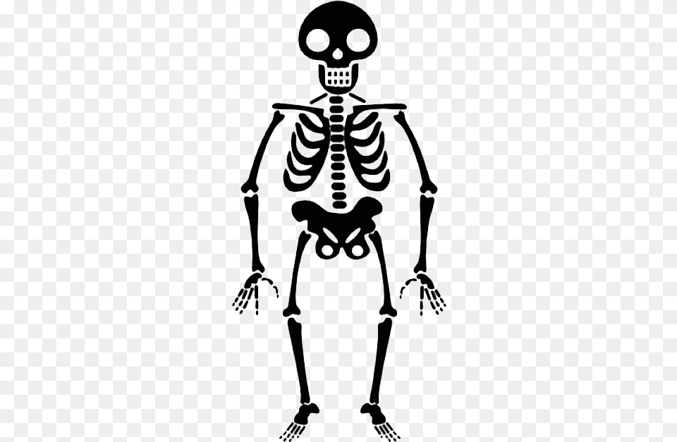 Skeleton Transparent Halloween Skeleton Transparent Background, Person Png