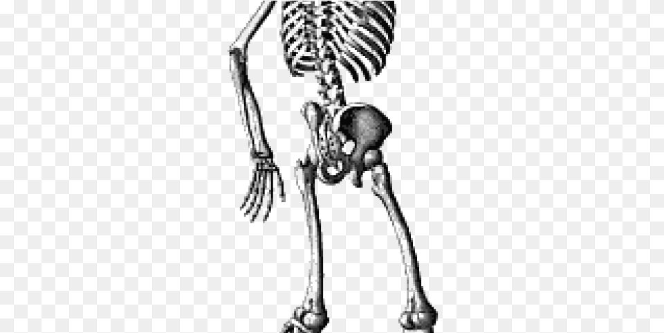 Skeleton Transparent Images Waving Skeleton Png Image