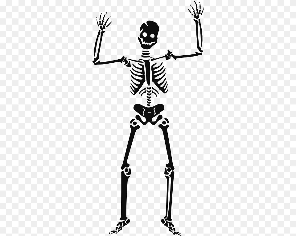 Skeleton Vector, Person, Face, Head Free Png