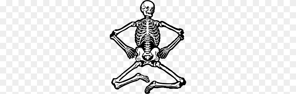 Skeleton With Bent Legs, Adult, Male, Man, Person Free Transparent Png