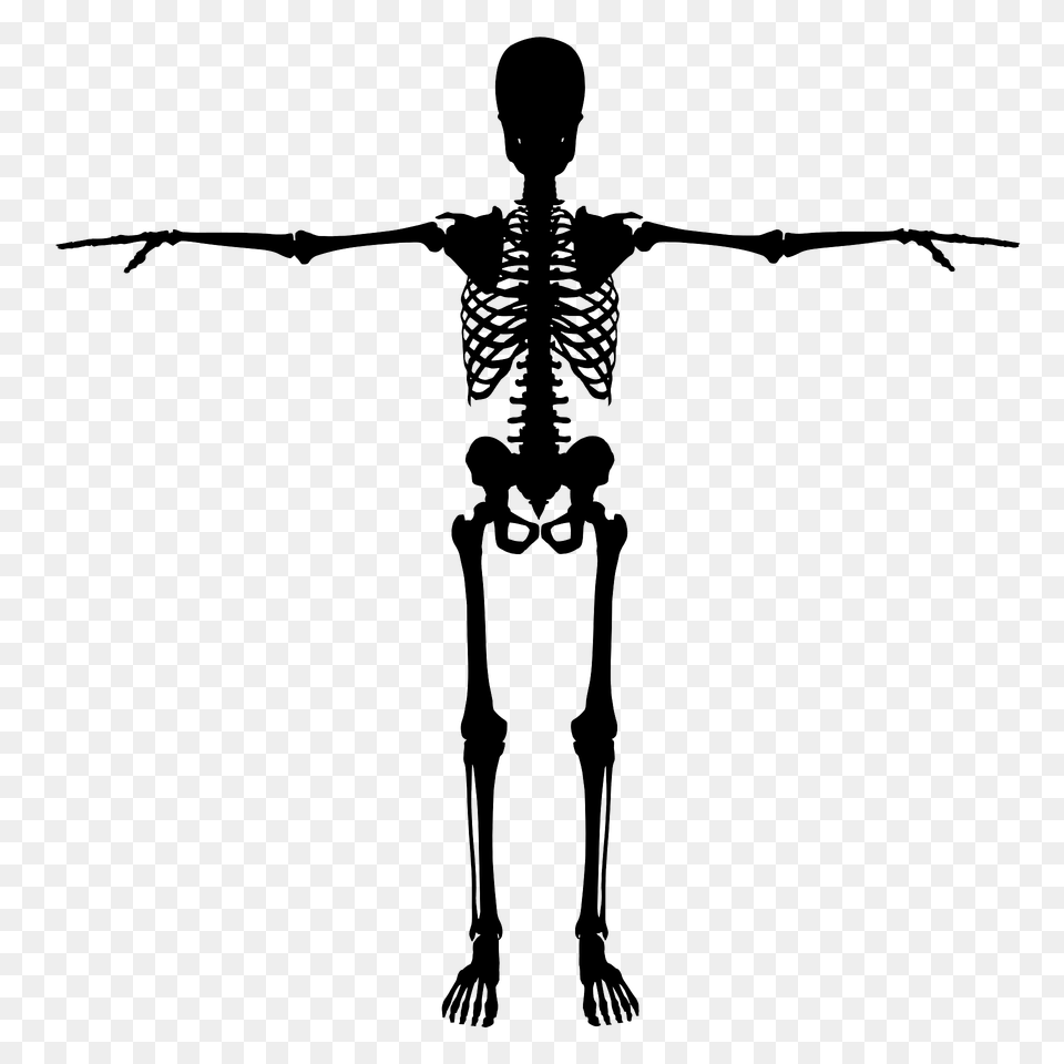 Skeleton With Outstretched Arms, Person Free Png Download