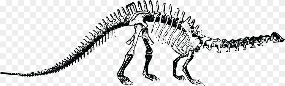 Skeletons Dinosaur Bones Background, Animal, Reptile Png Image