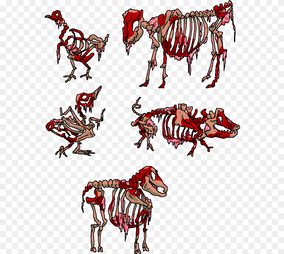 Skeletons Portable Network Graphics, Animal, Reptile, Dinosaur, Adult Png