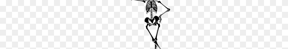 Skelton Clipart Halloween Skeleton Clipart Free Clipart Png Image