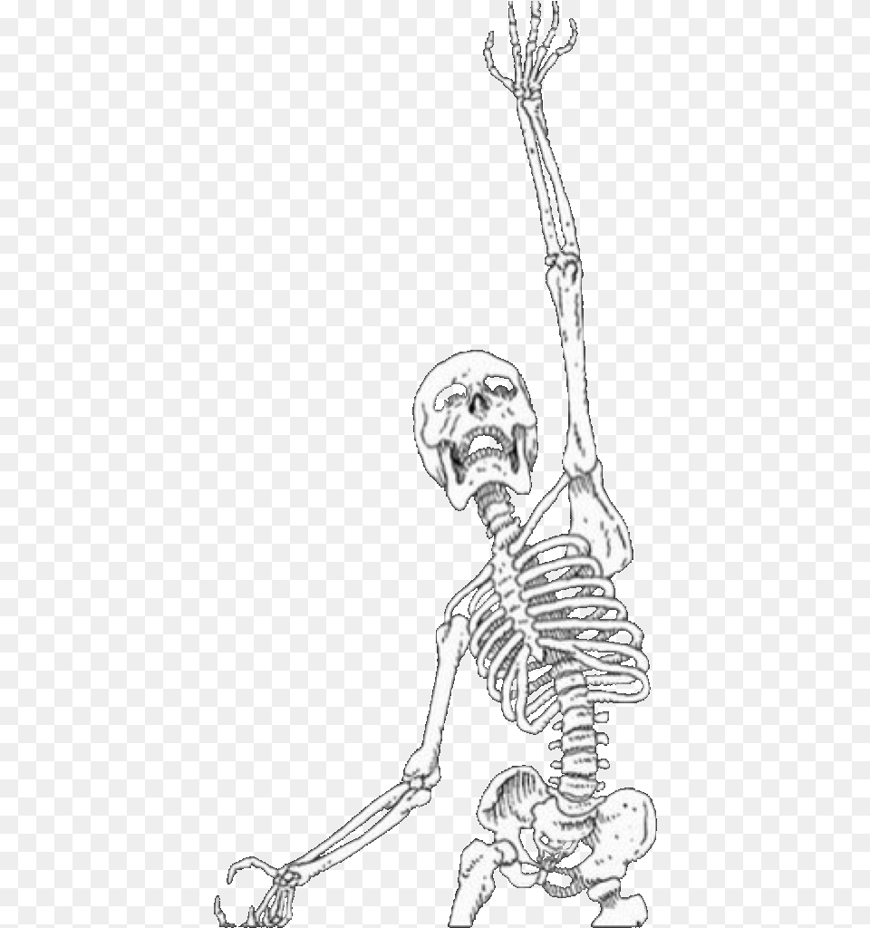 Skelton Sticker Skeleton Aesthetic, Baby, Person Png Image