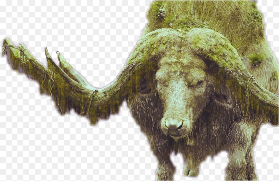 Sker Buffalo Kong Skull Island Sker Buffalo, Animal, Mammal, Wildlife, Bull Free Png Download