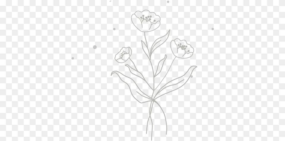 Sketch, Art, Plant, Stencil, Drawing Free Transparent Png