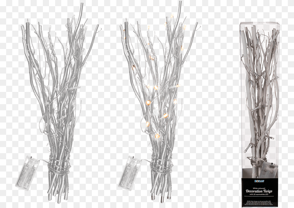 Sketch, Plant, Wood, Lamp Png