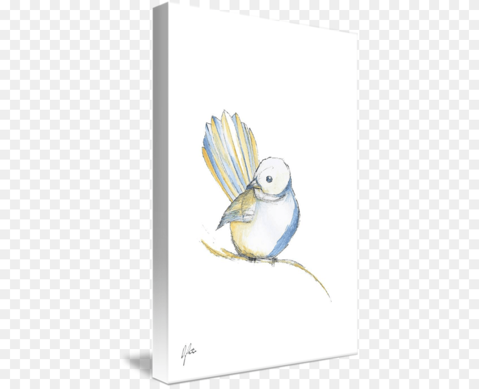 Sketch, Art, Animal, Bird, Drawing Free Transparent Png