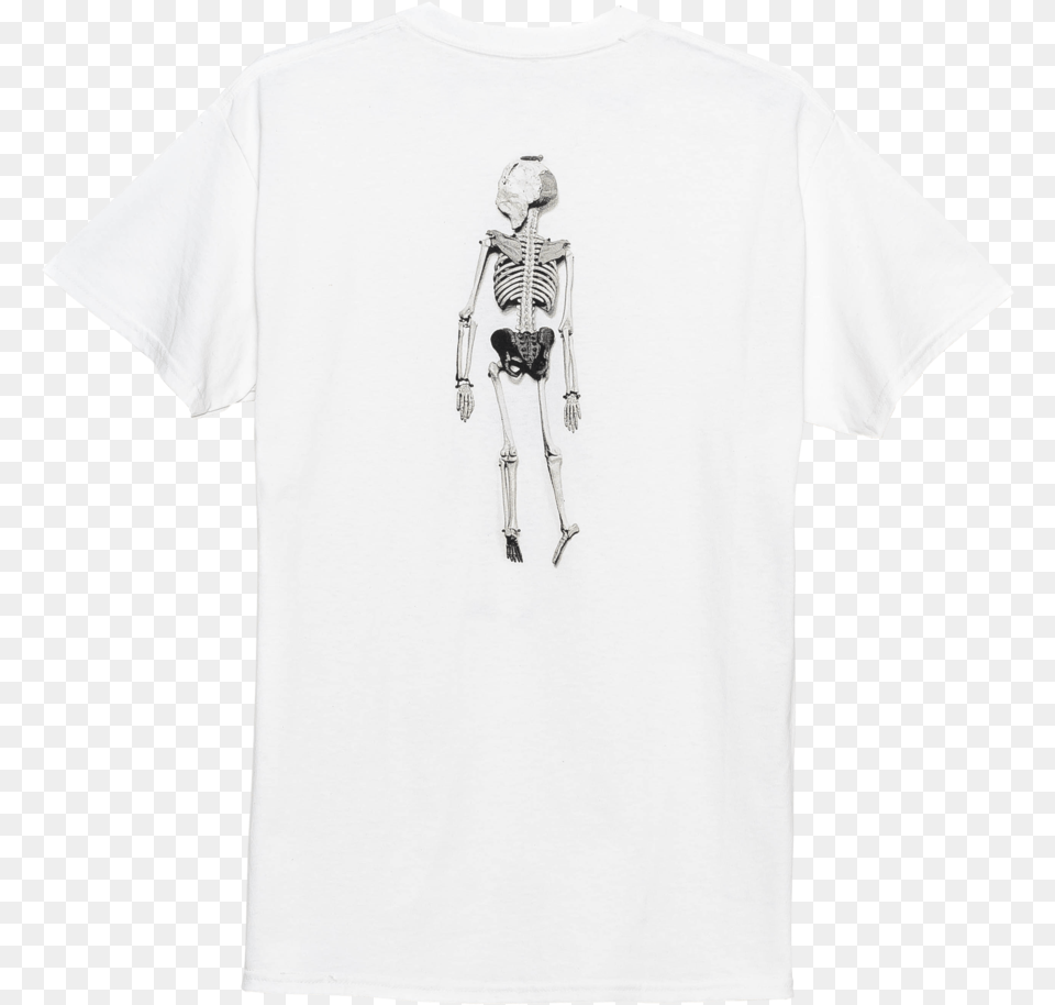 Sketch, Clothing, T-shirt, Person Free Transparent Png