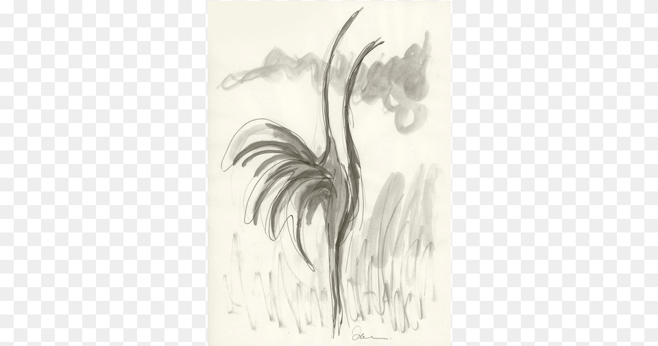 Sketch, Art, Drawing, Plant Free Transparent Png
