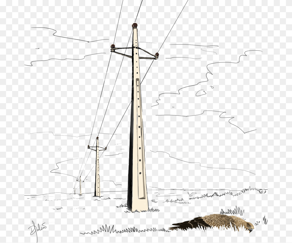 Sketch, Utility Pole, Baby, Person, City Png Image