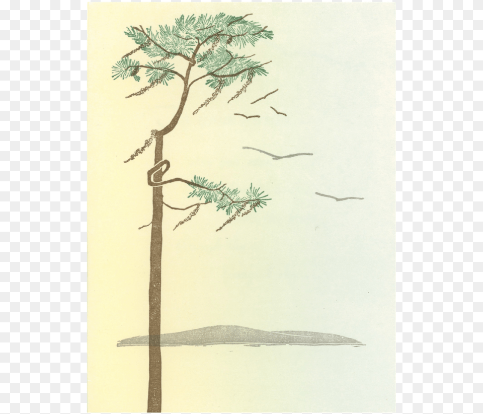 Sketch, Plant, Tree, Art, Painting Free Png