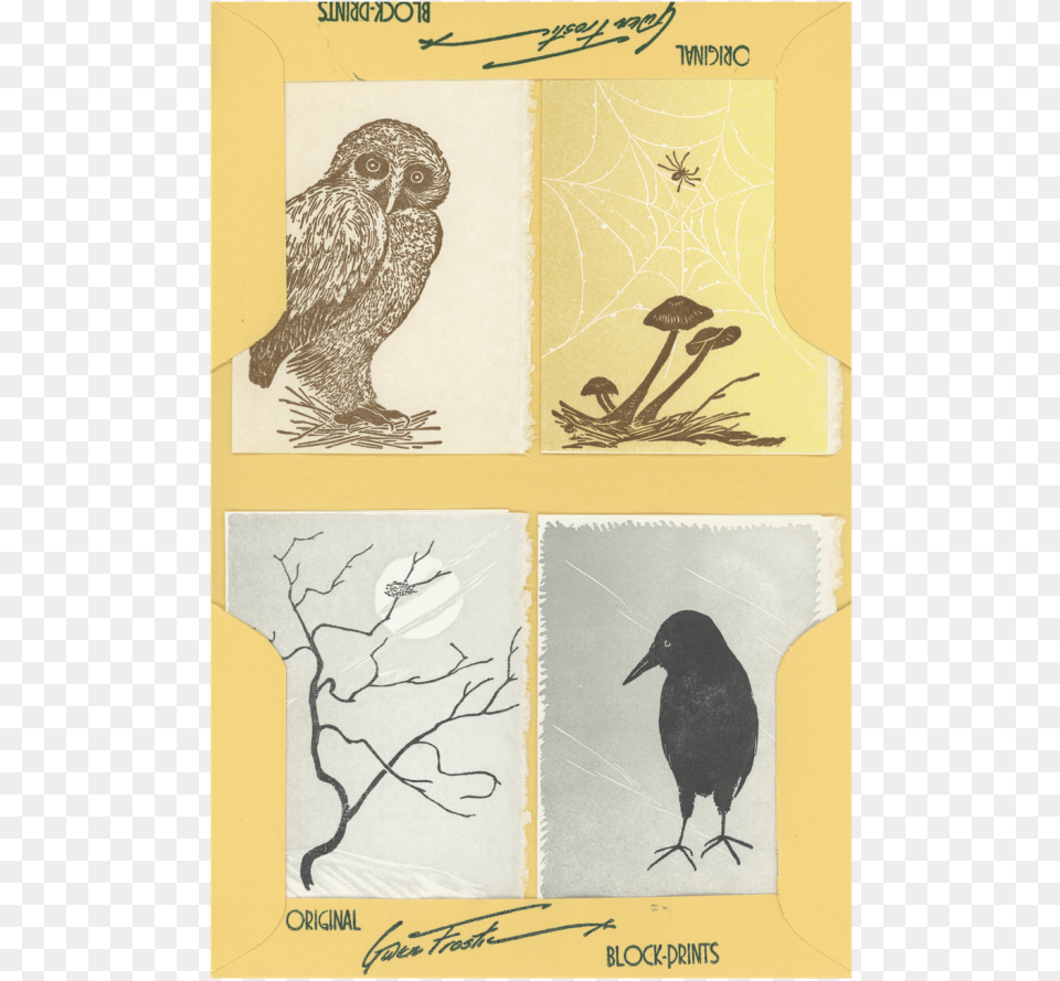 Sketch, Animal, Bird, Blackbird, Art Free Png Download