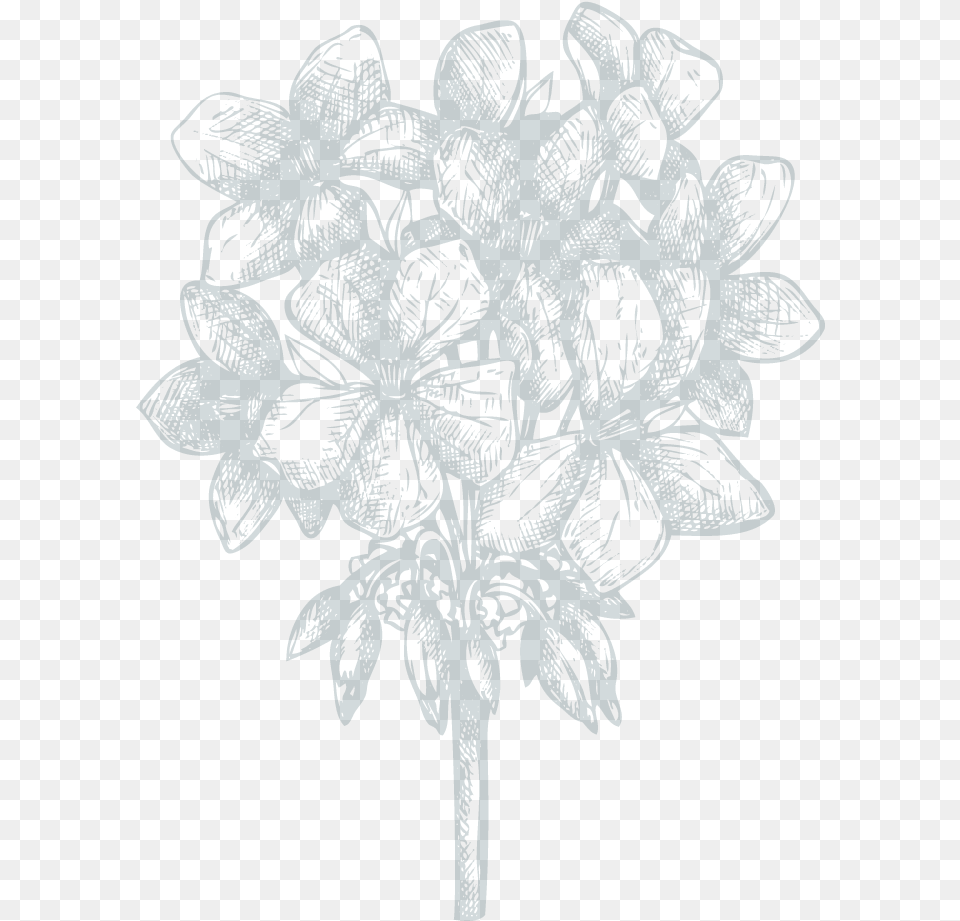 Sketch, Nature, Outdoors, Pattern, Art Free Png