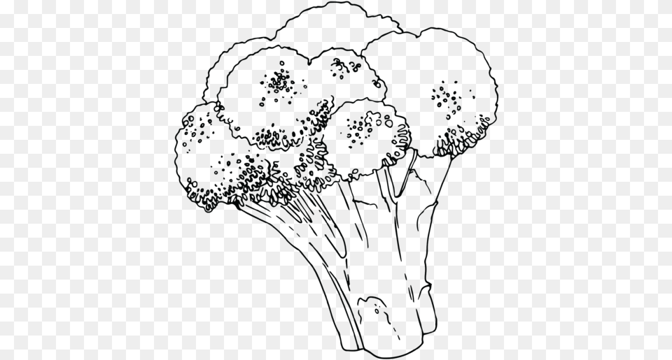 Sketch, Broccoli, Food, Plant, Produce Free Png Download