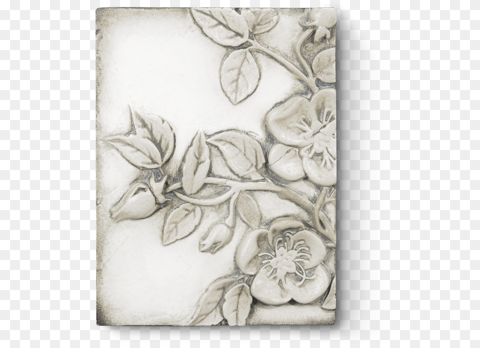 Sketch, Art, Pattern, Floral Design, Graphics Free Transparent Png