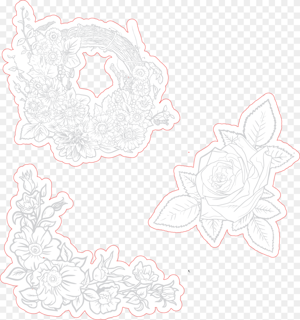 Sketch, Pattern, Flower, Plant, Rose Png