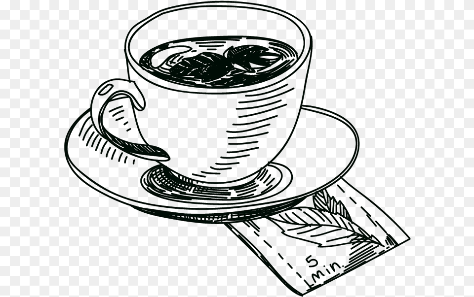 Sketch, Cup, Saucer, Beverage, Coffee Free Transparent Png