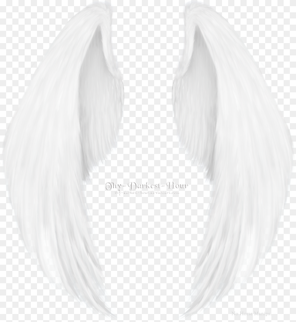 Sketch, Angel, Woman, Wedding, Person Png