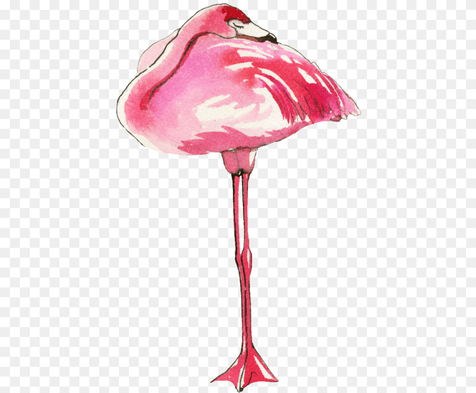 Sketch, Animal, Bird, Flamingo, Adult Png Image