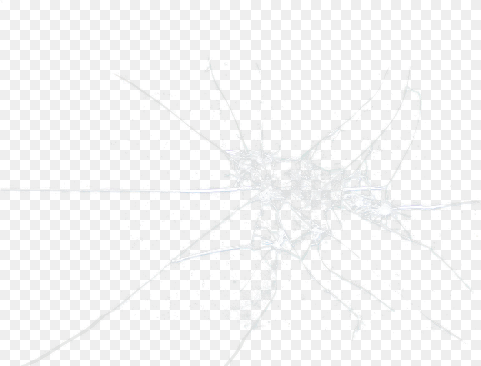 Sketch, Animal, Invertebrate, Spider Free Transparent Png