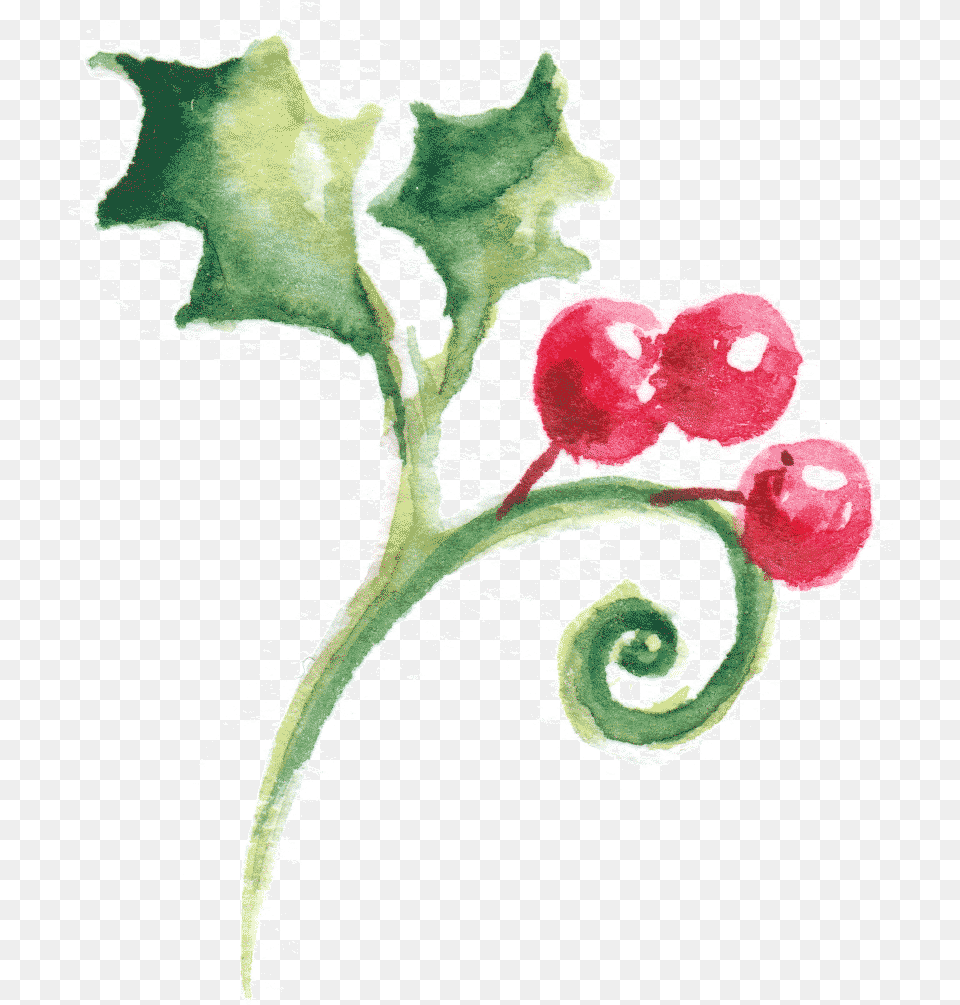 Sketch, Plant, Food, Produce, Radish Free Png Download