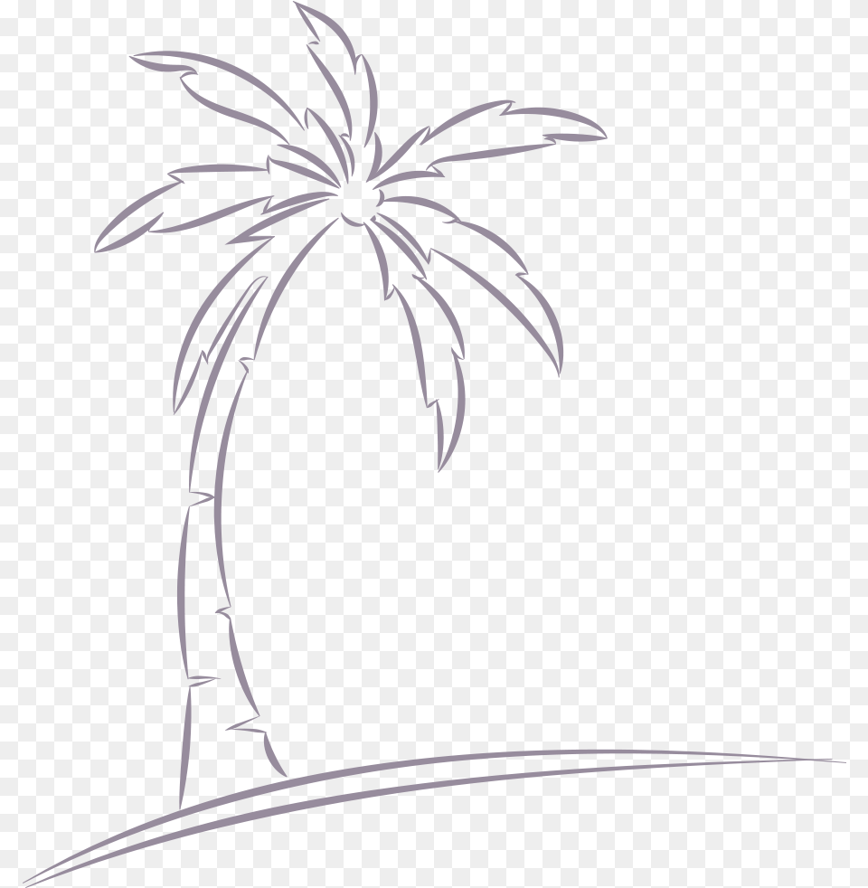 Sketch, Palm Tree, Plant, Tree, Fireworks Free Png Download