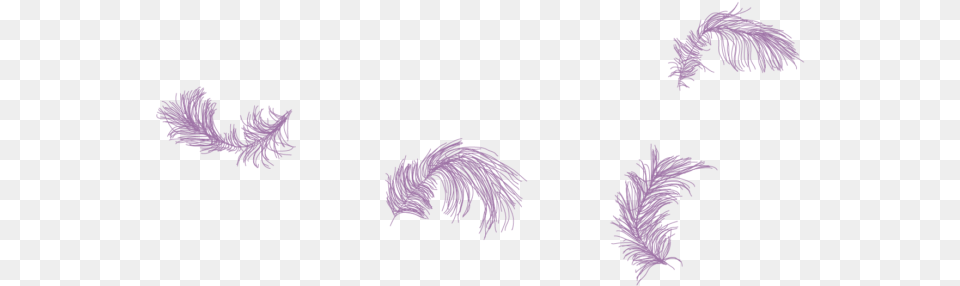 Sketch, Purple, Art, Accessories, Feather Boa Free Transparent Png