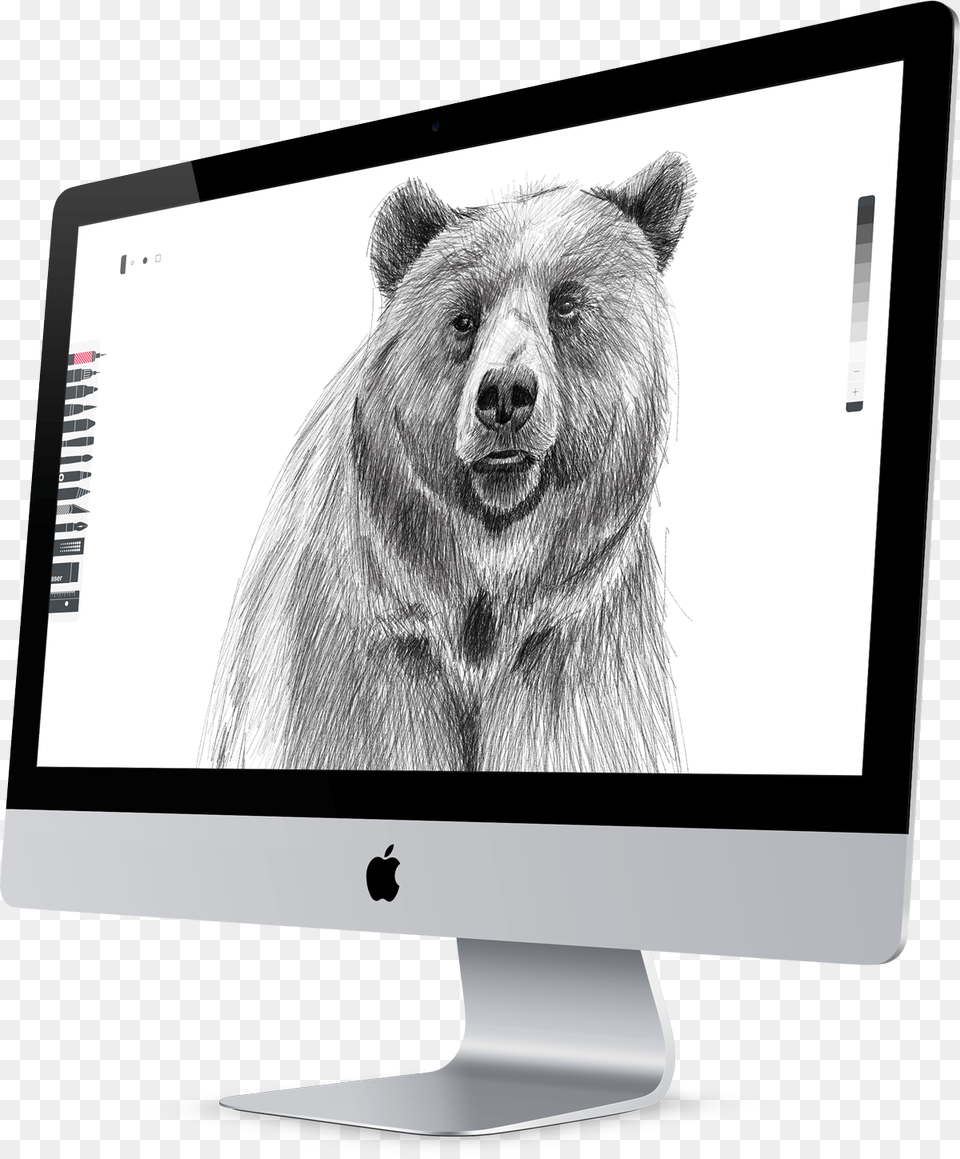 Sketch App Imac Mockup, Animal, Screen, Mammal, Wildlife Png