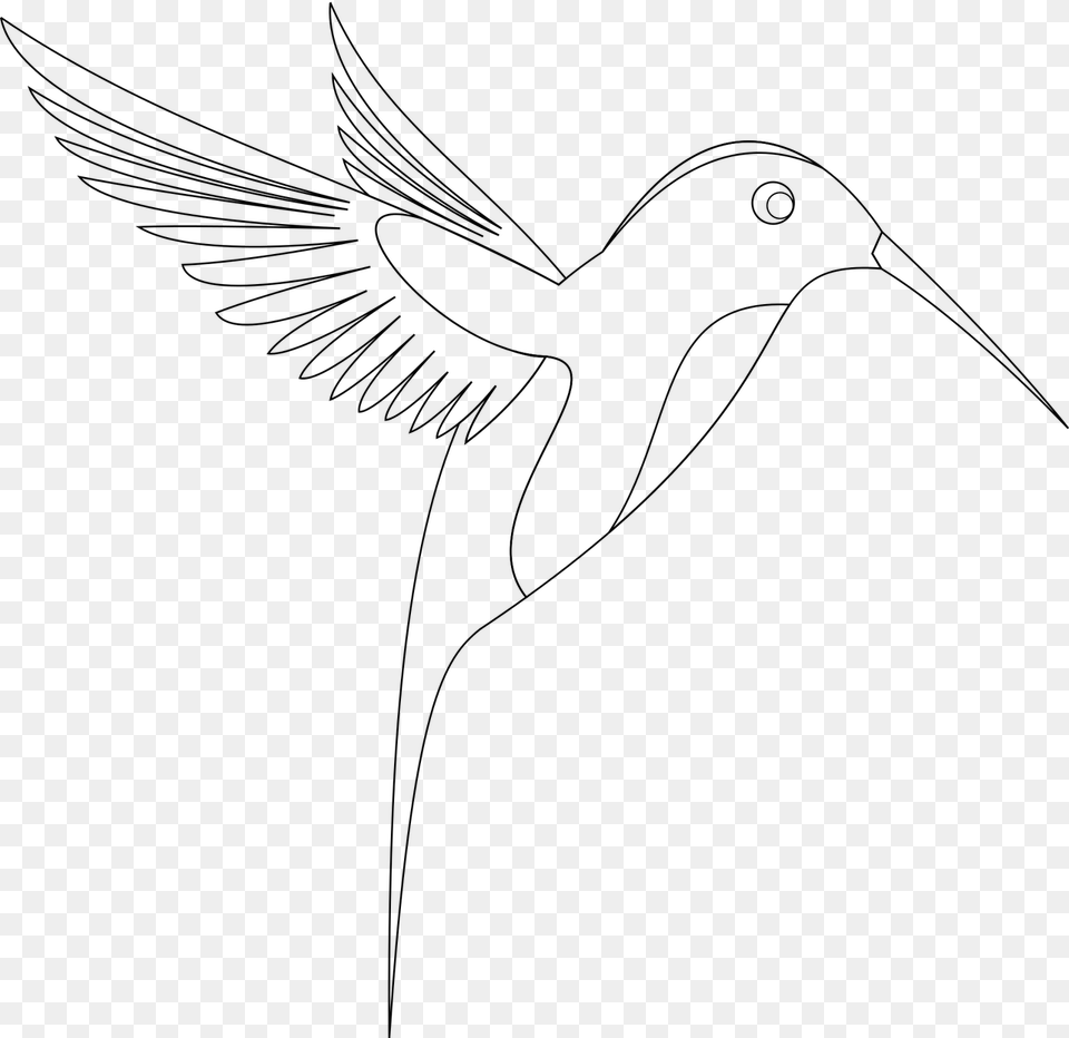 Sketch Bird Transprent, Gray Free Png