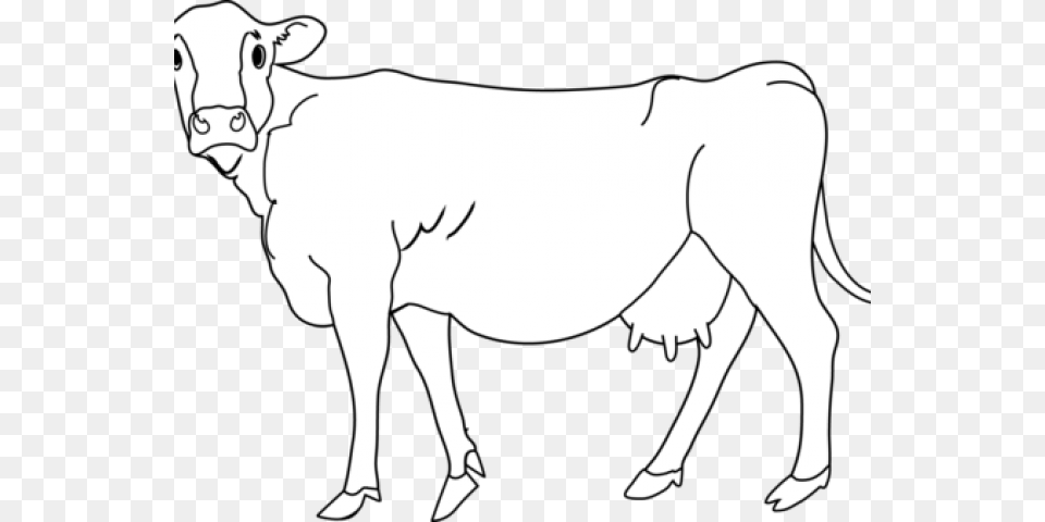 Sketch Clipart Cow, Livestock, Animal, Cattle, Mammal Png Image