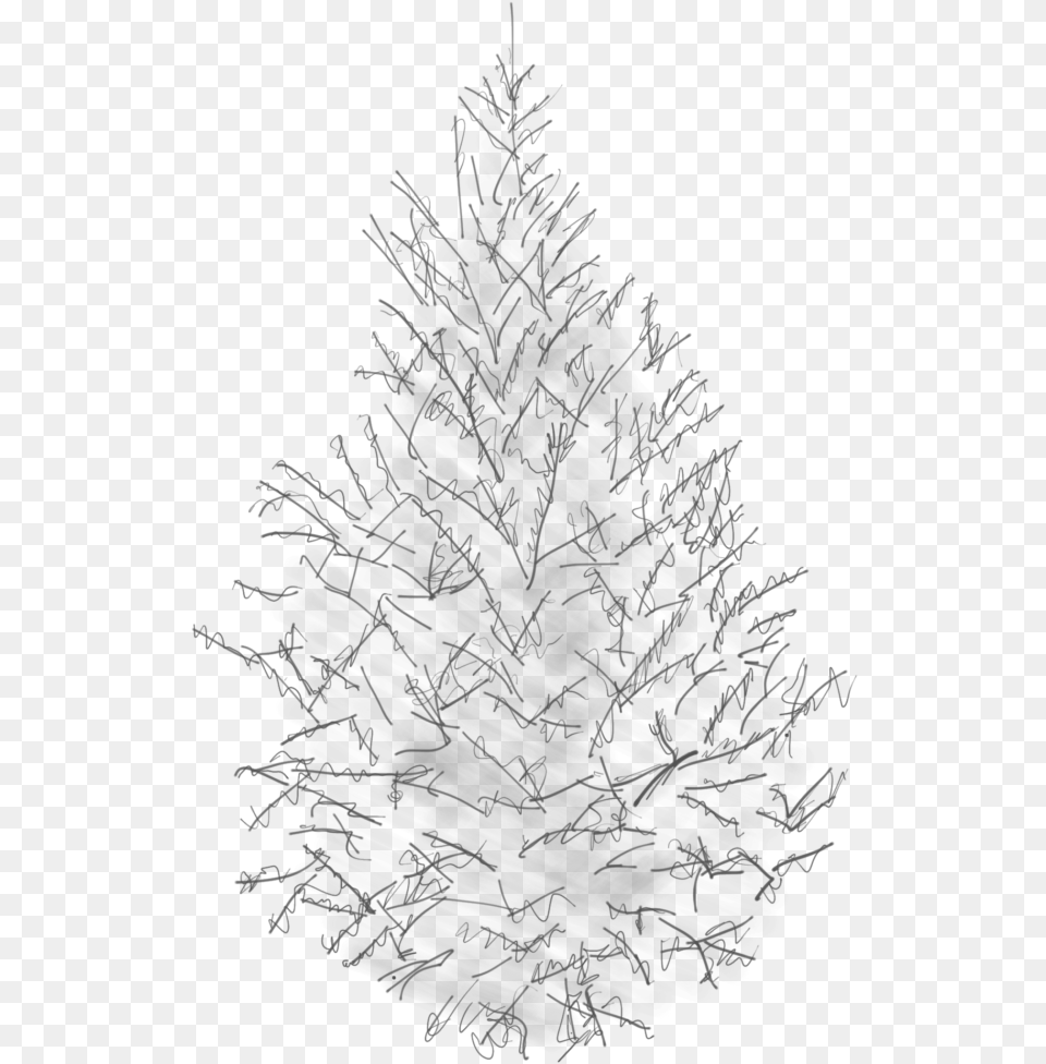 Sketch Of A Canaan Fir Fir, Chandelier, Lamp, Christmas, Christmas Decorations Free Png Download