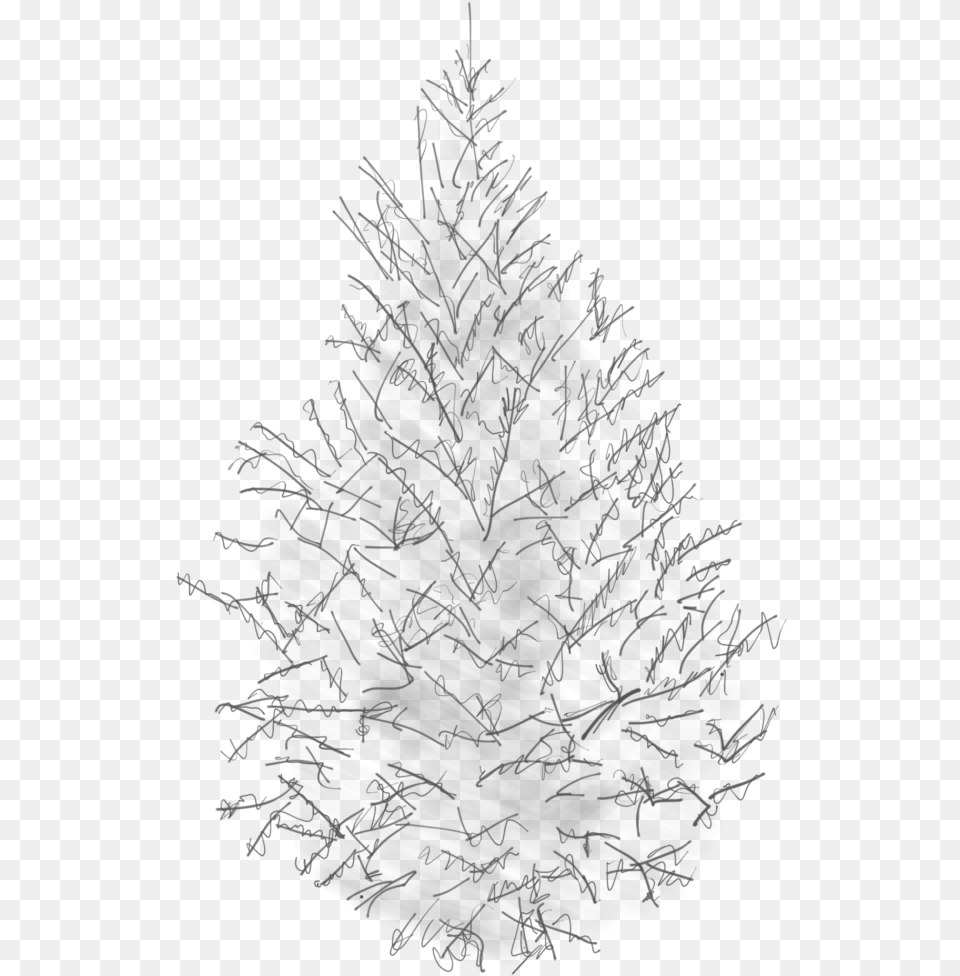 Sketch Of A Canaan Fir Tree Pine Sketch, Chandelier, Lamp, Christmas, Christmas Decorations Png Image