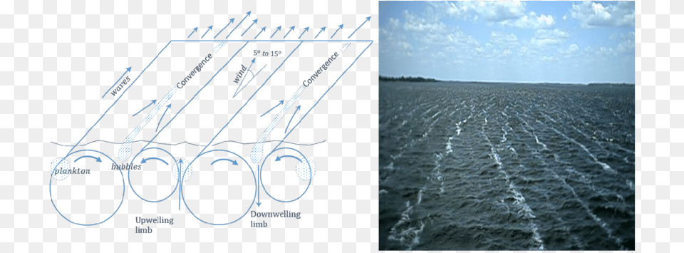 Sketch Showing Langmuir Cells And Associated Windrows Langmuir Circulation, Outdoors, Nature, Water, Sea Free Png