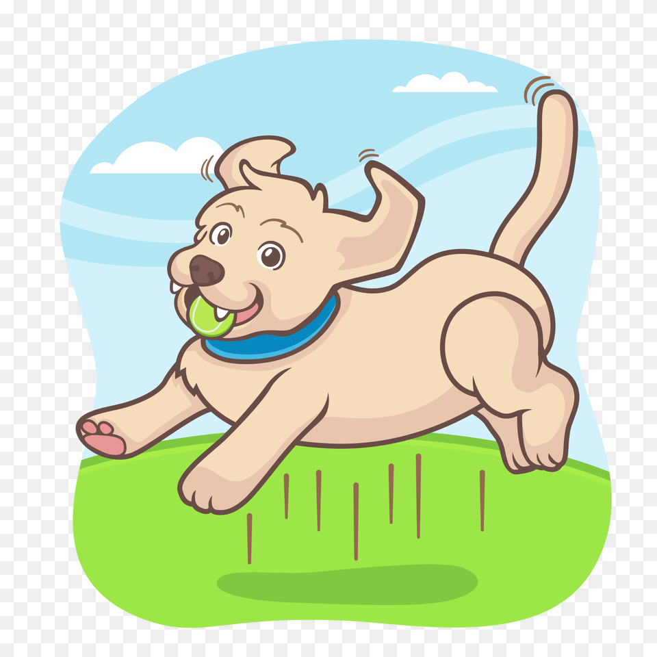 Sketchables Dog Jumping And Catching A Tennis Ball, Sport, Tennis Ball, Clothing, Swimwear Free Transparent Png