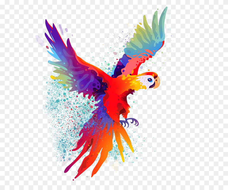 Sketches App Parrot, Animal, Bird, Person Free Png