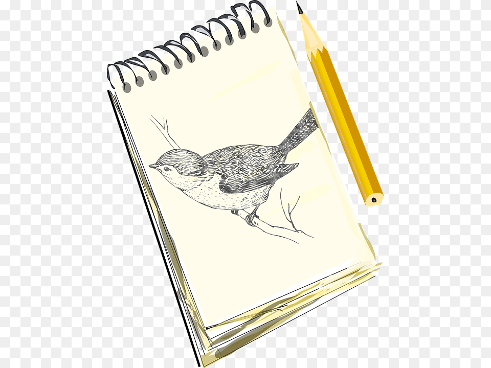 Sketchpad Drawing Sketchbook Clipart Black And White Don T Forget To Document, Animal, Bird, Art Free Transparent Png