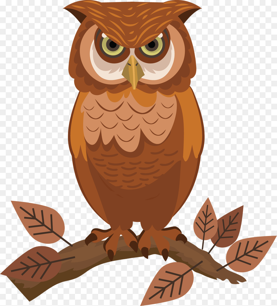 Sketsa Gambar Burung Hantu, Animal, Bird, Owl, Fish Free Png