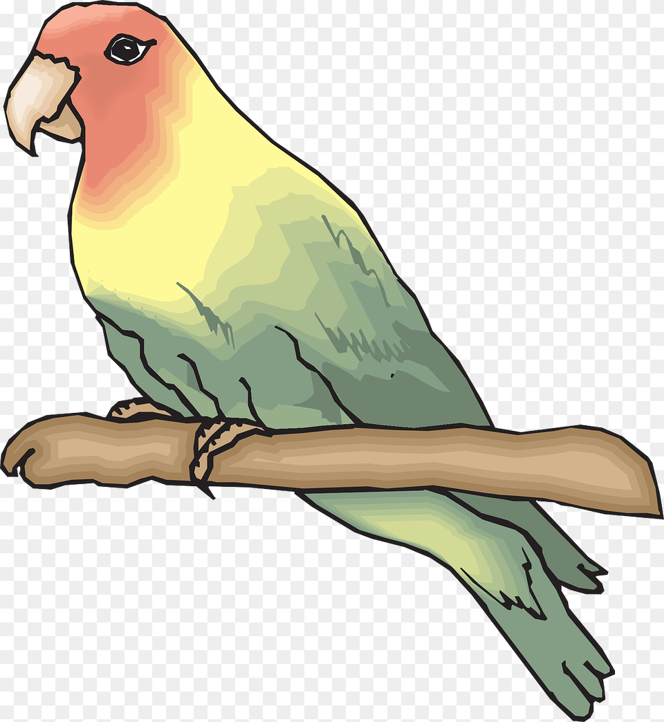 Sketsa Gambar Burung Lovebird, Animal, Bird, Parakeet, Parrot Free Png Download