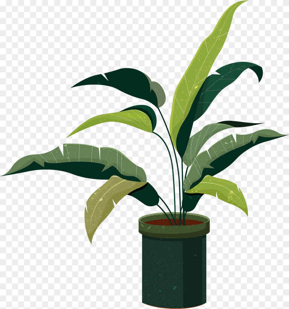Sketsa Tanaman Hias, Leaf, Plant, Potted Plant, Tree Free Png
