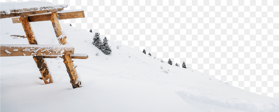 Skiing, Fir, Plant, Tree, Nature Free Transparent Png