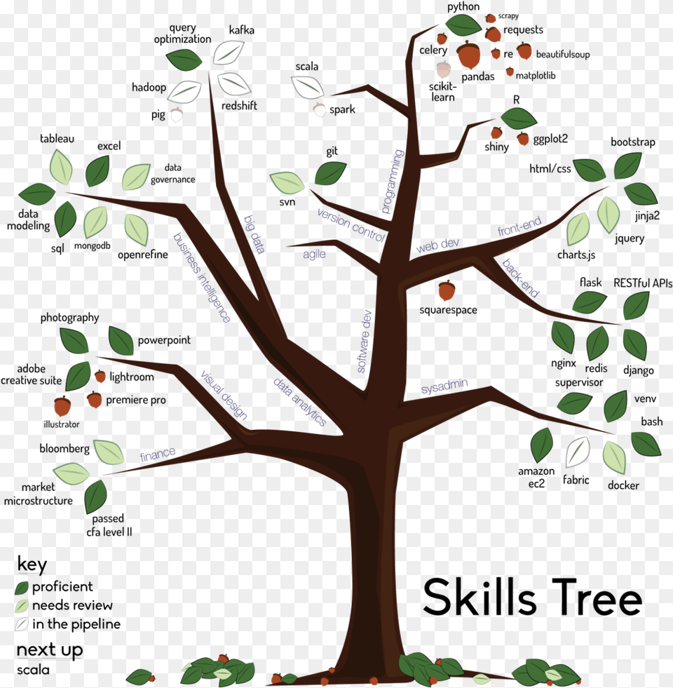 Skills Petralia Technology, Plant, Tree, Art, Pattern Free Png