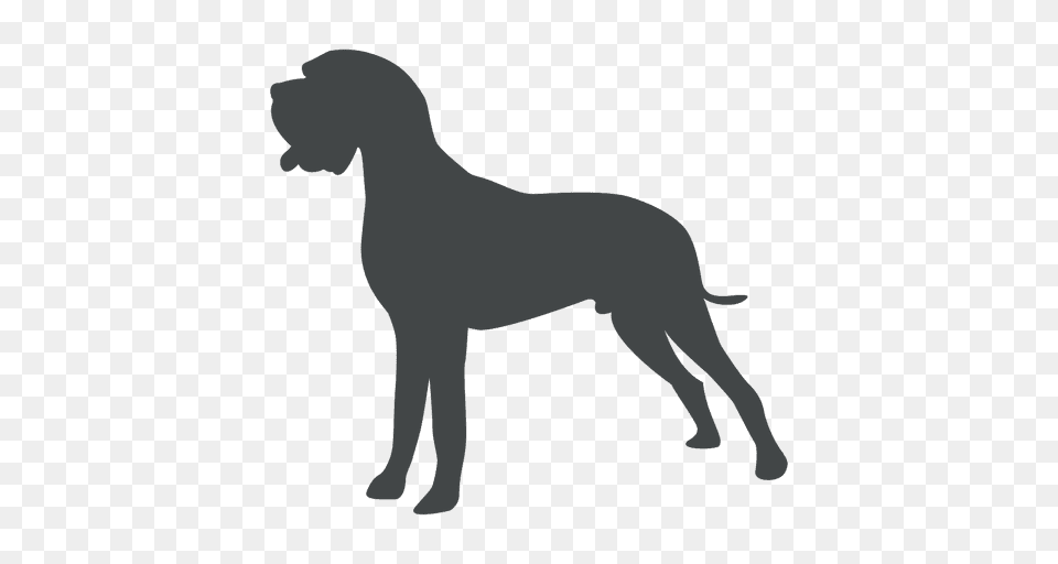 Skinny Dog Silhouette Posing, Animal, Canine, Mammal, Great Dane Free Transparent Png