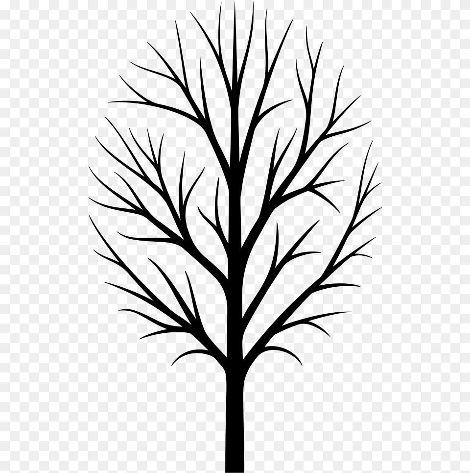 Skinny Tree Silhouette Printable Bare Tree Template, Gray Png Image