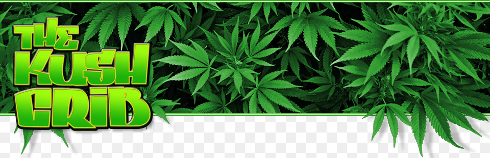 Skip To Content Cropped Kush Crib Home, Green, Plant, Vegetation, Weed Free Png Download