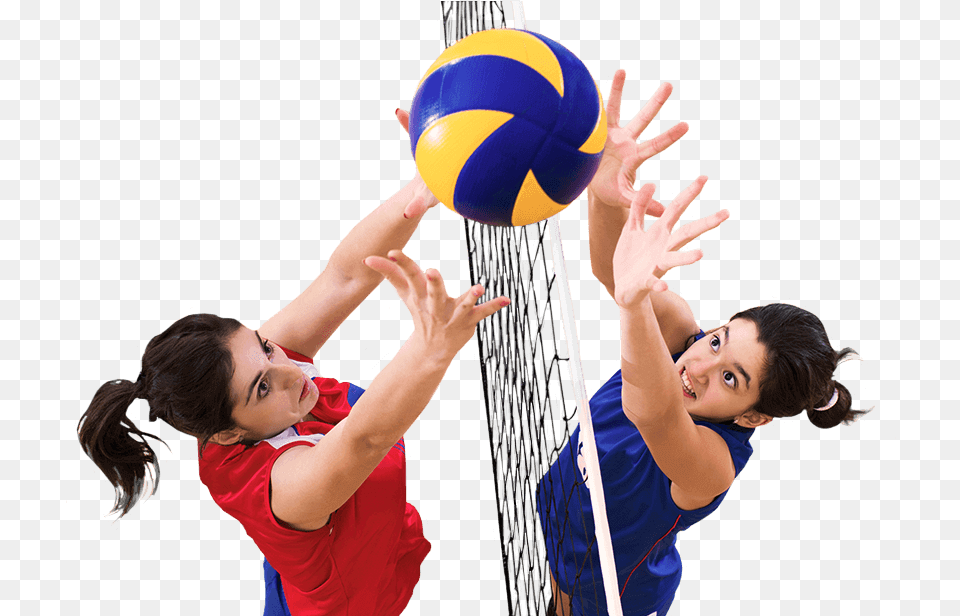 Skip To Content Edexcel Pe For Gcse Third Edition Book, Sphere, Ball, Volleyball, Sport Free Png